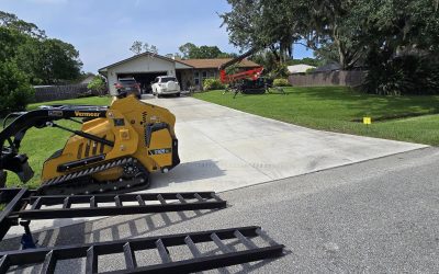 Tree Trimming in Melbourne, FL | Certified Arborists Improve Safety & Curb Appeal