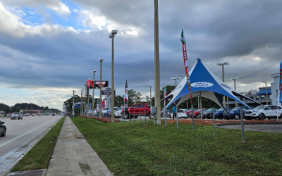 Commercial Palm Tree Removal in Palm Bay, FL – Enhancing Curb Appeal at Gary Yeomans Ford