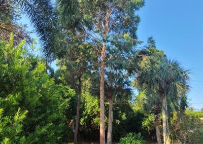 Brevard County, FL - ECAP 10