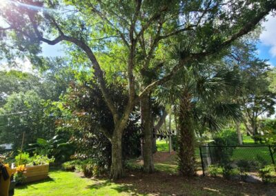 Brevard County, FL - ECAP 2