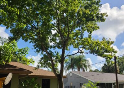 Brevard County, FL - ECAP 5