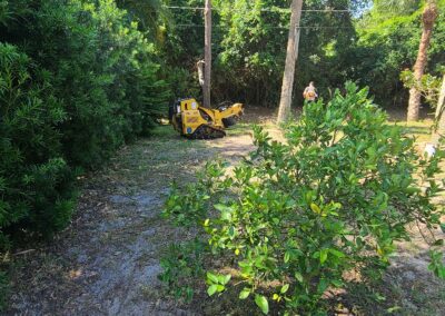 Brevard County, FL - ECAP 7