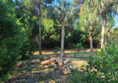 Brevard County, FL - ECAP 8