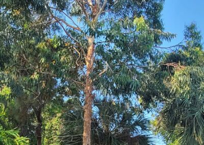 Brevard County, FL - ECAP 9