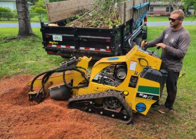 Brevard County, FL - ECAP - tree removal stump grindin