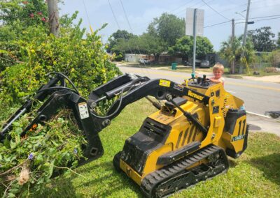 Brevard County, Florida - Tree Removal ECAP