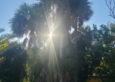 Cocoa Beach, FL - ECAP