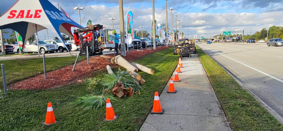 Commercial Property Ford Dealership in Palm Bay