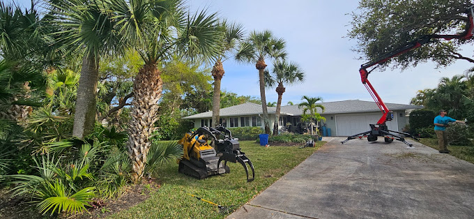 Emergency Storm Damage in Palm Bay FL
