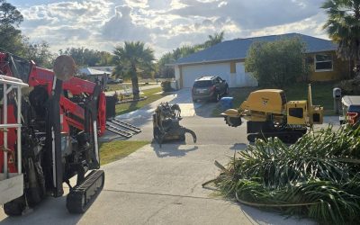 East Coast Arbor Pro Handles Precise Tree Removal and Stump Grinding in Melbourne, FL