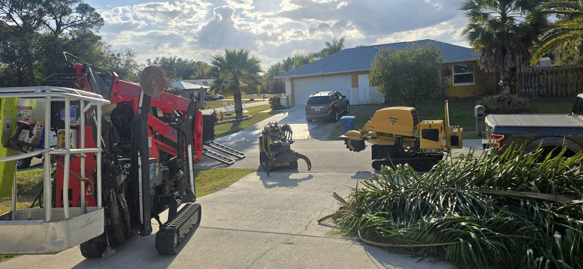 Oak Tree Removal and Stump Grinding Melbourne 2 - East Coast Arbor Pro