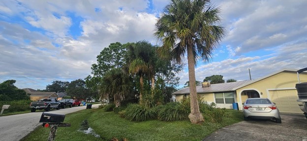 Brevard County Florida Tree Removal Service
