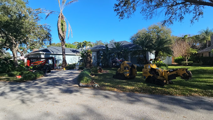 Stump Grinding Services Palm Bay FL