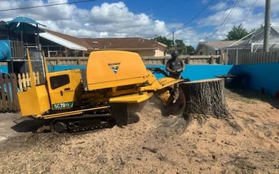 Expert Stump Grinding in Melbourne, FL: A Project Success for East Coast Arbor Pro