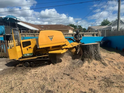 Stump Grinding in Melbourne