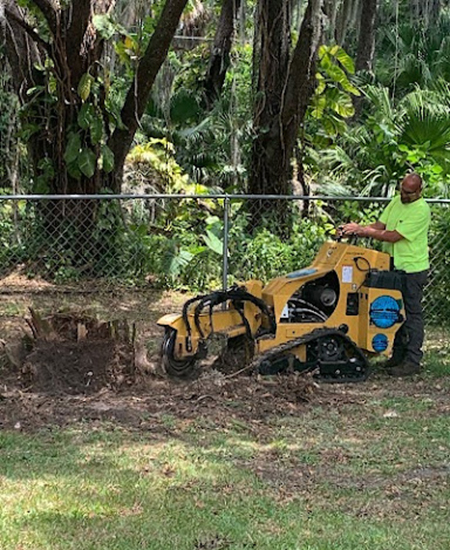 Stump Grinding in Melbourne