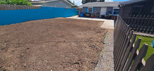 Stump Grinding in Melbourne