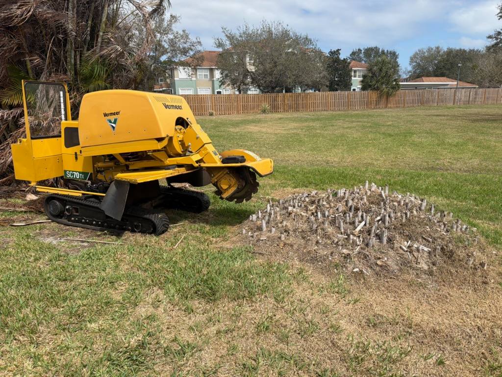 Stump Grinding in Rockledge