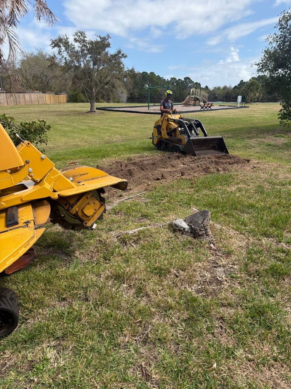 Stump Grinding in Rockledge
