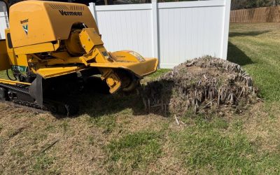 East Coast Arbor Pro Restores a Yard in Rockledge, FL, With Stump Grinding
