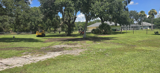 Stump and Root Removal in Rockledge