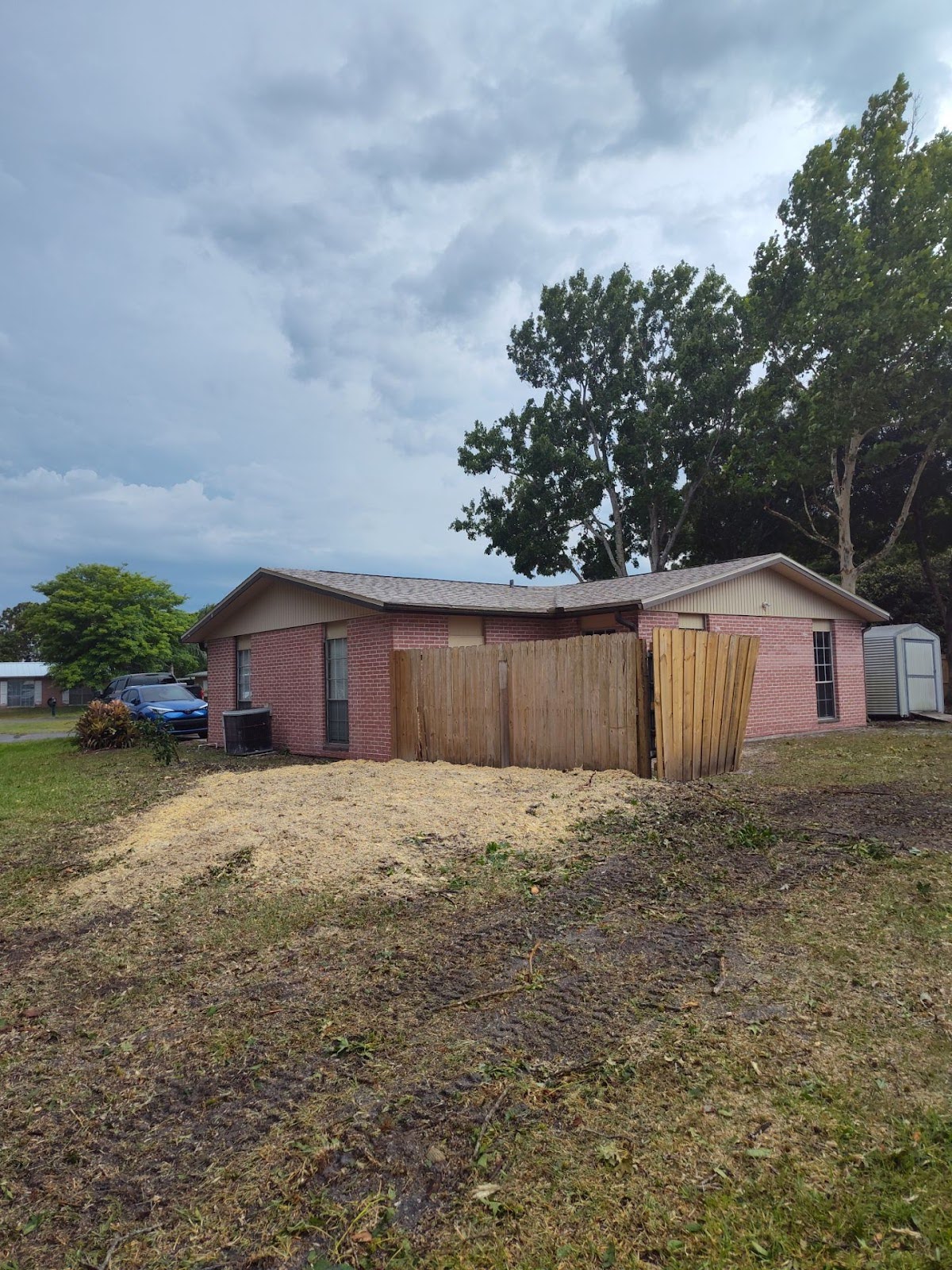 Sweet Gum Tree Removal