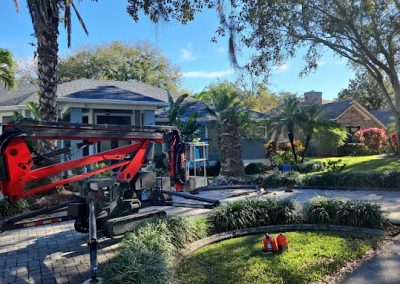 Tree Removal Cocoa Beach FL