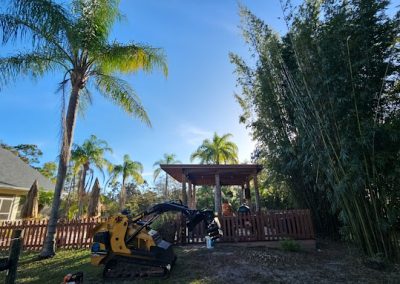 Tree Removal Cocoa FL