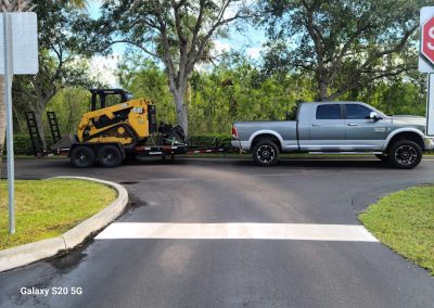 Tree Removal Merritt Island FL