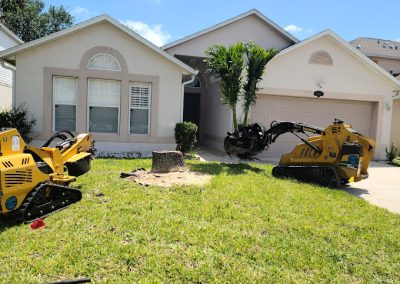 Tree Removal Rockledge FL