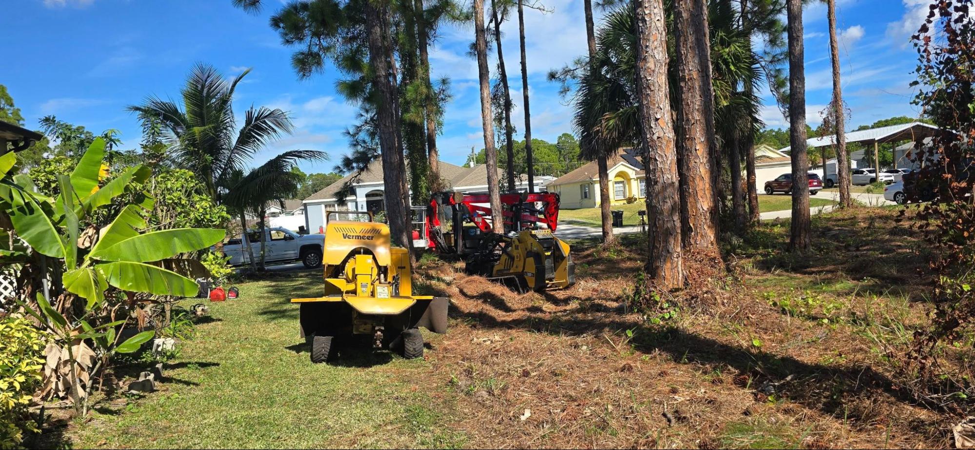 Tree Removal Services in Melbourne 1 - East Coast Arbor Pro