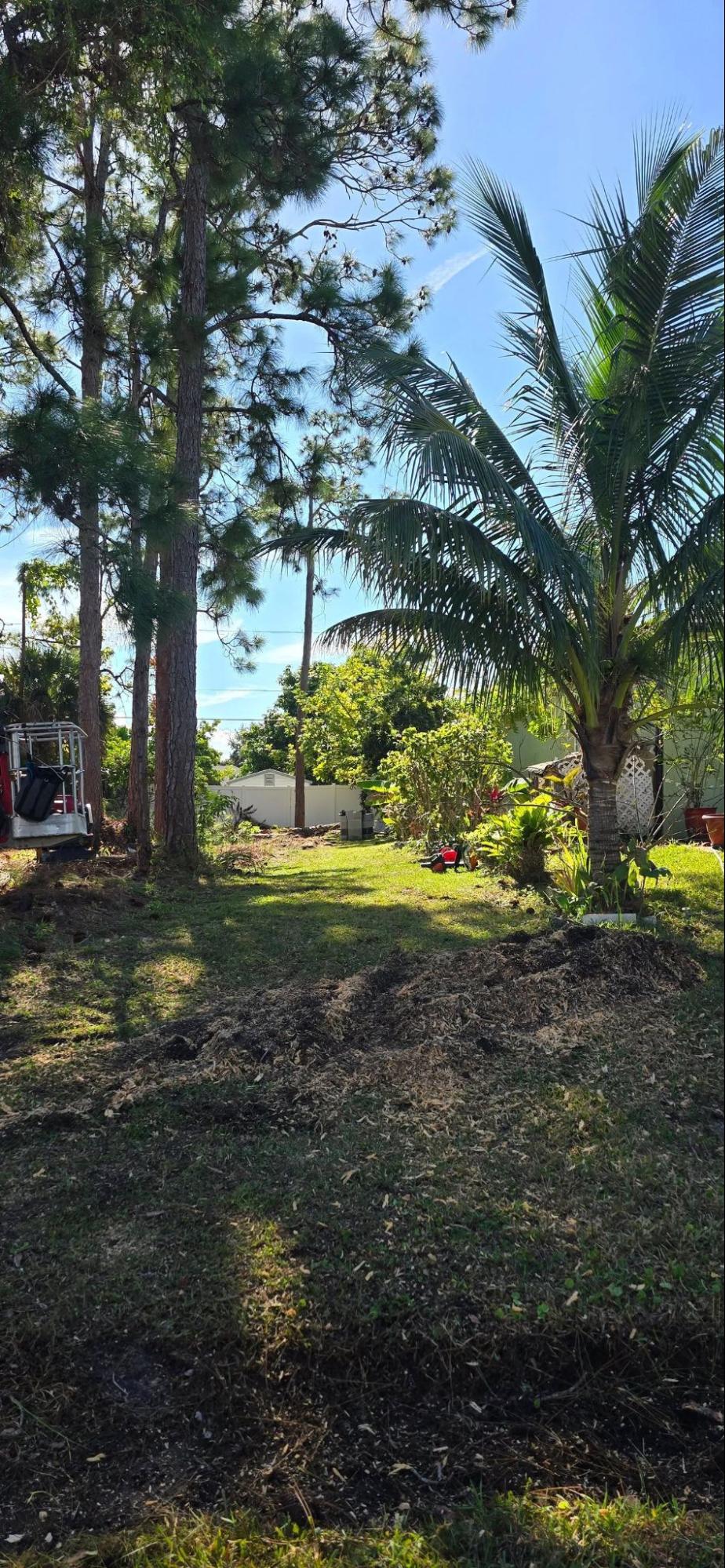 Tree Removal Services in Melbourne 6 - East Coast Arbor Pro