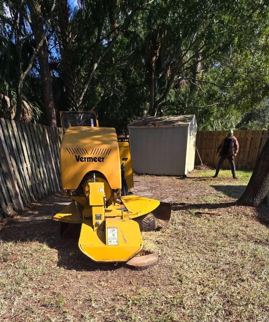 Tree Removal and Stump Grinding in Cocoa