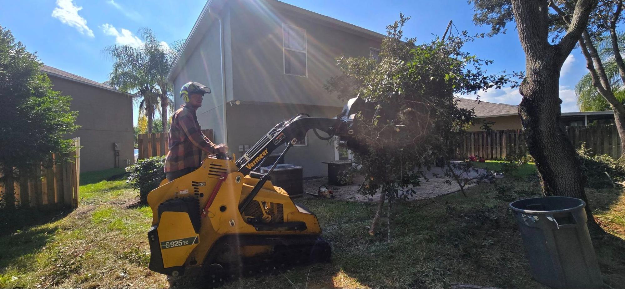 Tree Removal and Stump Grinding in Cocoa