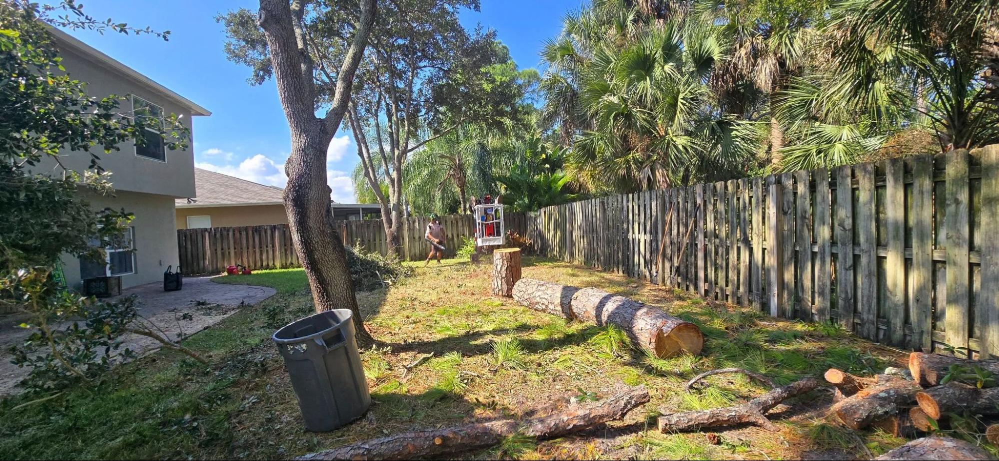 Tree Removal and Stump Grinding in Cocoa
