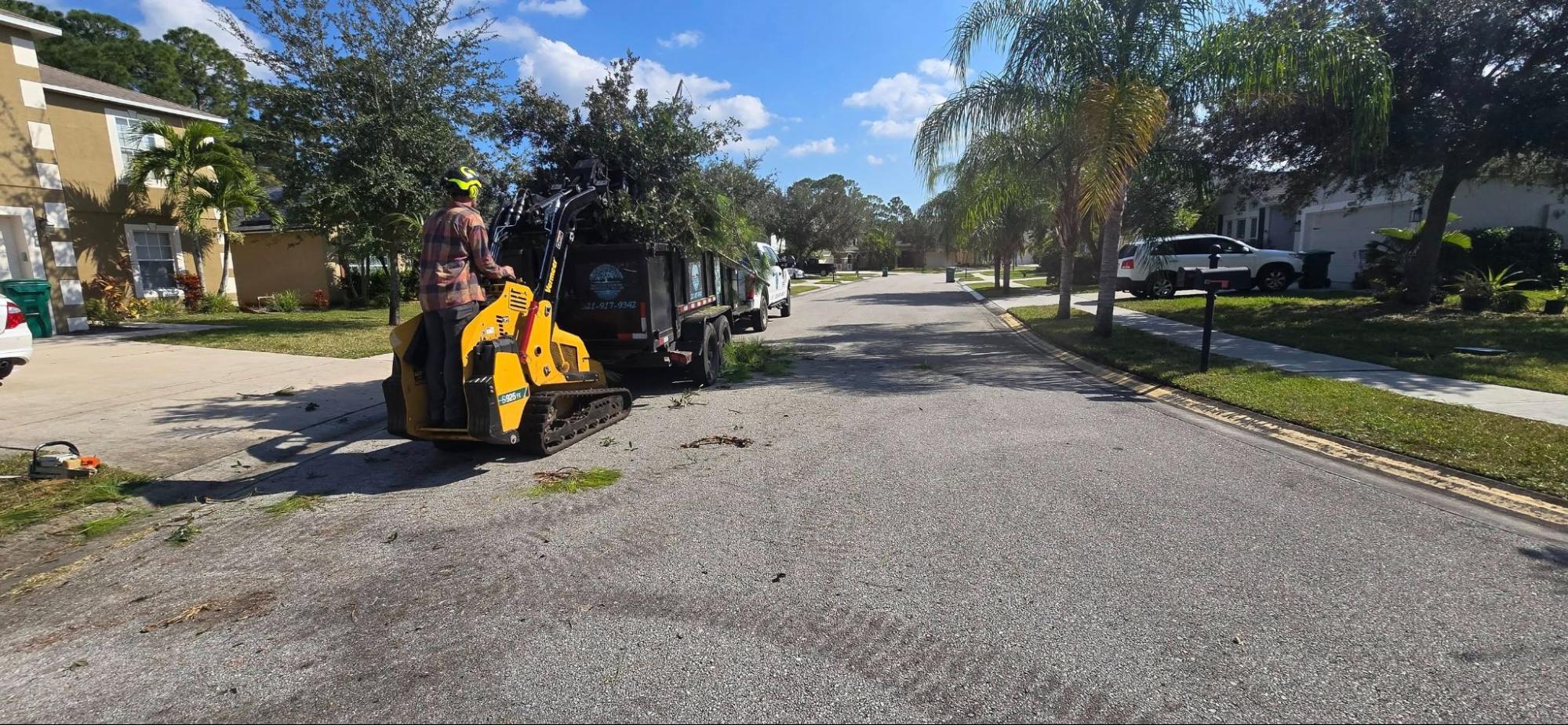 Tree Removal and Stump Grinding in Cocoa