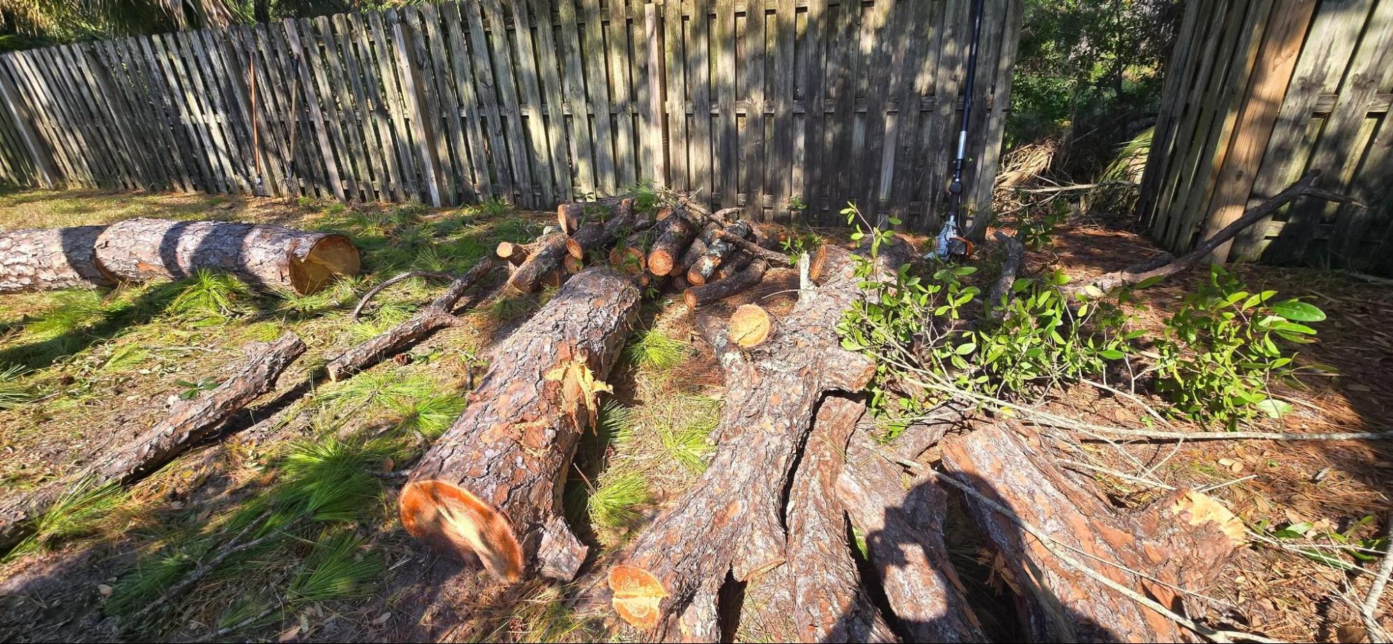 Tree Removal and Stump Grinding in Cocoa