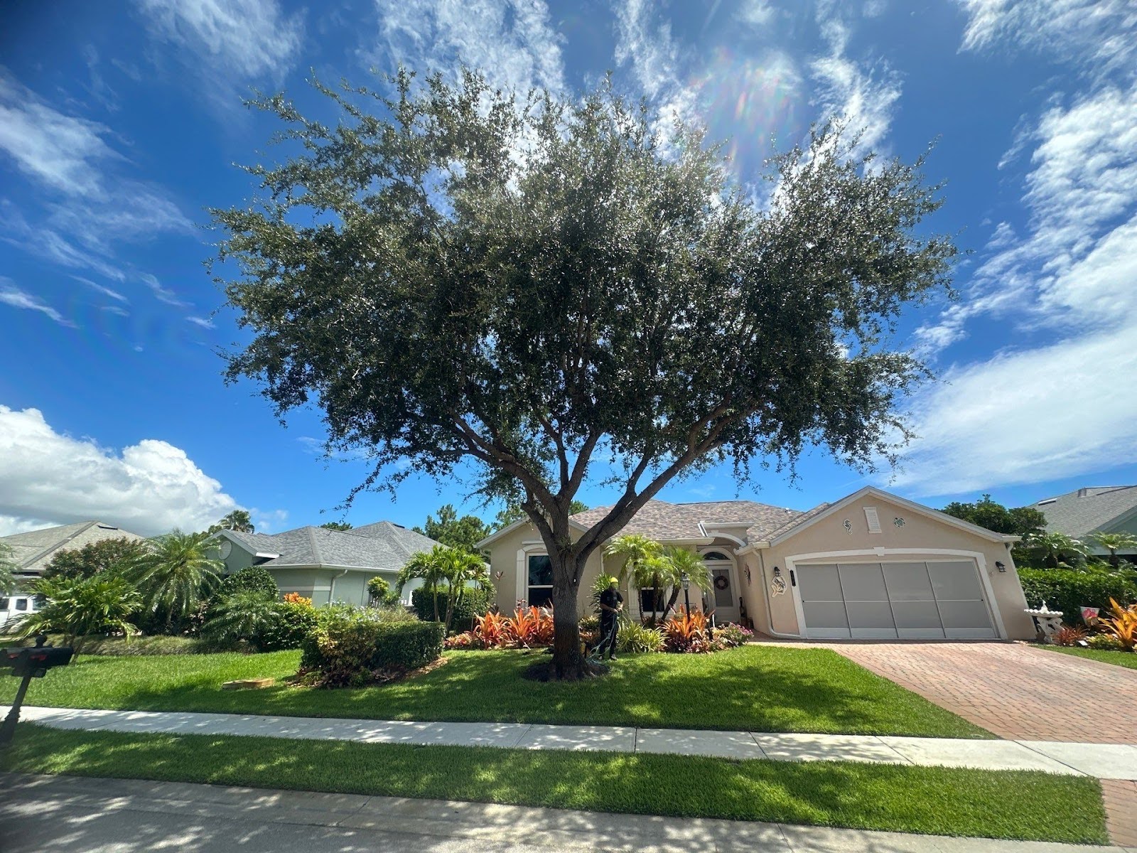 Tree Removal in Sebastian, FL