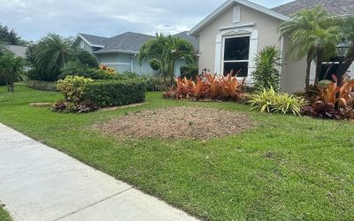 East Coast Arbor Pro: Efficient Tree Removal for a Sebastian, FL, Homeowner