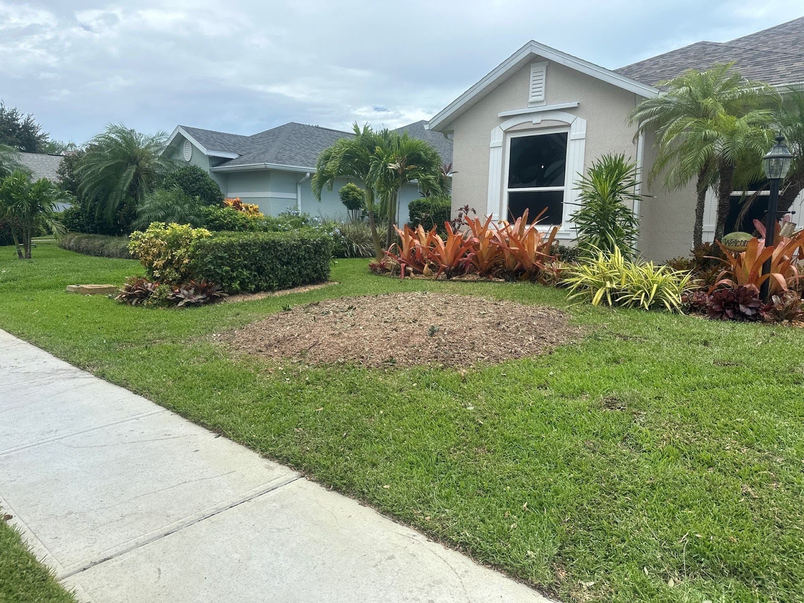 Tree Removal in Sebastian, FL