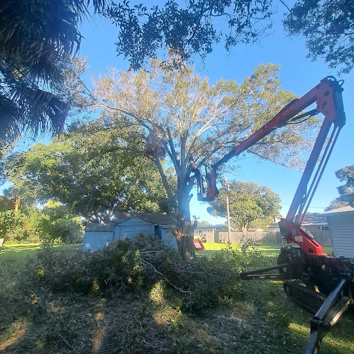Tree Removal in Melbourne