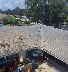 East Coast Arbor Pro Protects a Melbourne, FL, Yard With Professional Tree Removal