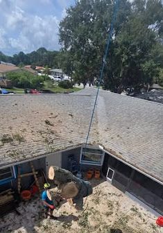 Tree Removal in Melbourne