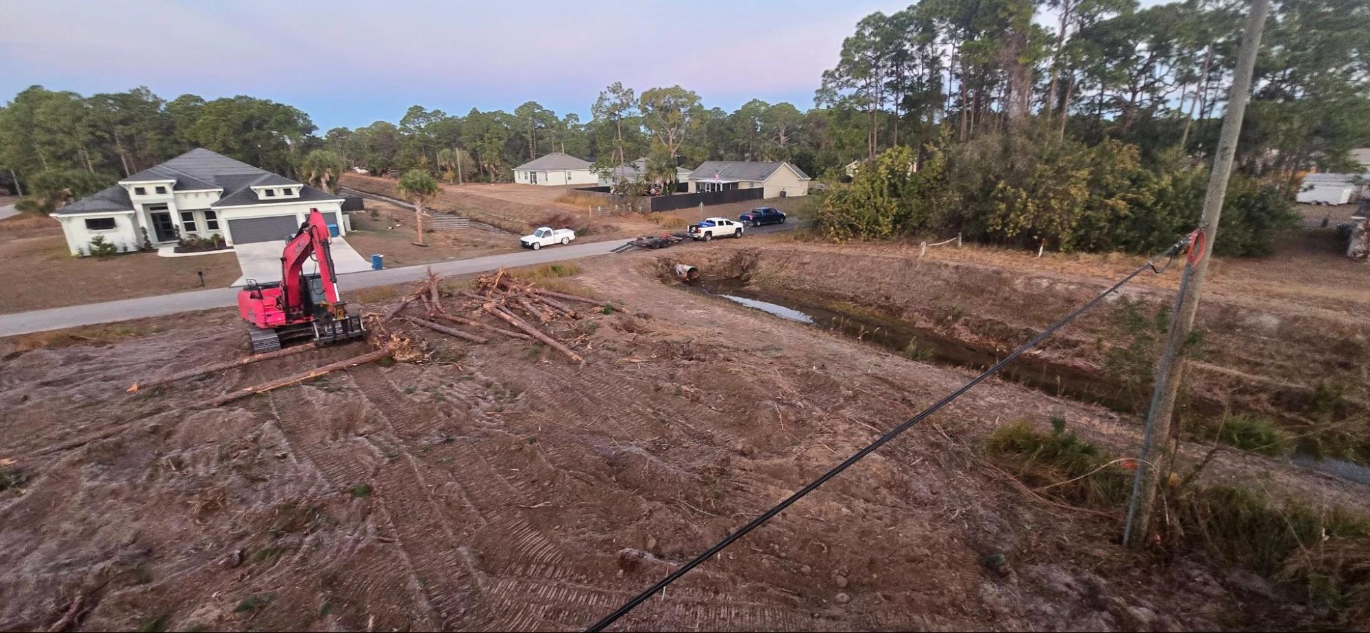 Tree Removal in Palm Bay