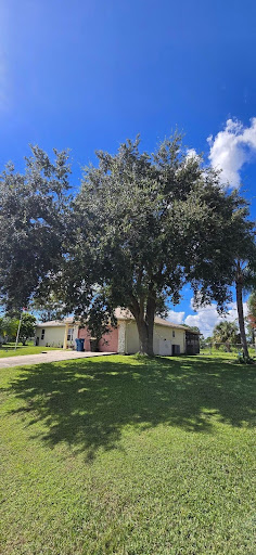 Tree Removal in Palm Bay