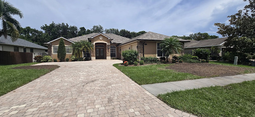 Tree Removal in Palm Bay