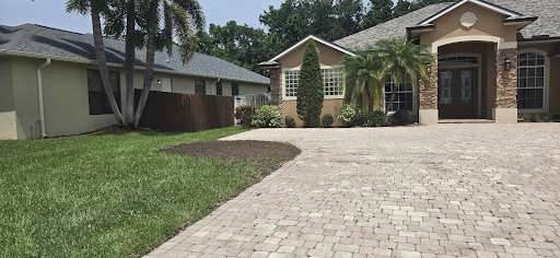 Tree Removal in Palm Bay