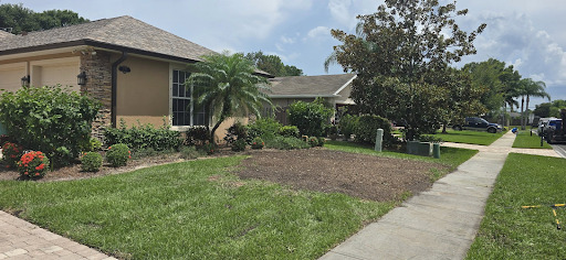 Tree Removal in Palm Bay