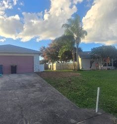 East Coast Arbor Pro Handles Safe and Efficient Tree Removal for a Homeowner in Palm Bay, Florida
