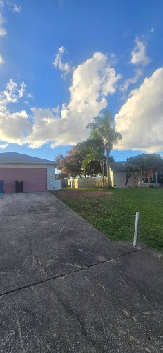 Tree Removal in Palm Bay